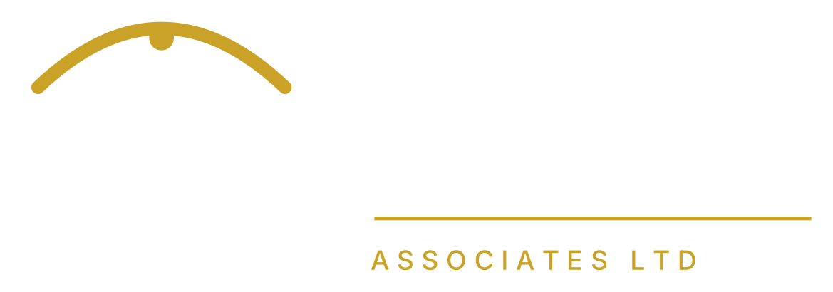 Insight Bridge